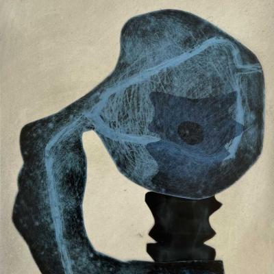 Collage Radiographie Sable Sur Carton Dans Un Ensemble De 24 Pages